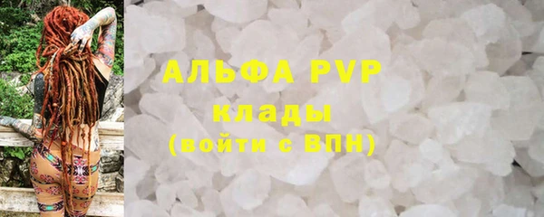 крисы Касимов