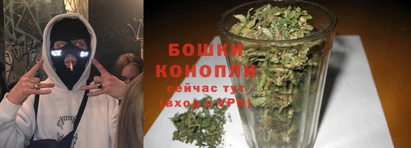 ГАЛЛЮЦИНОГЕННЫЕ ГРИБЫ Карталы