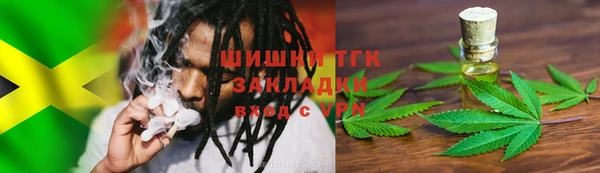 крисы Касимов