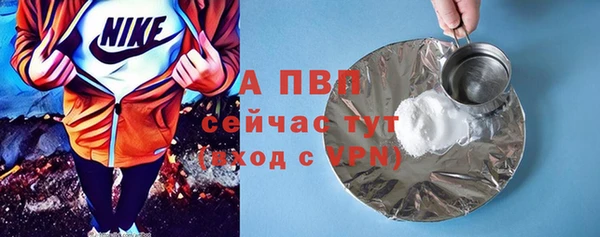 крисы Касимов