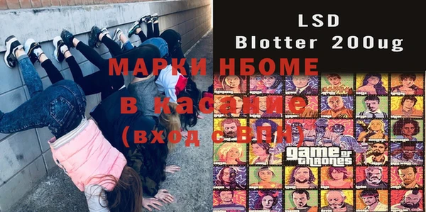 ГАЛЛЮЦИНОГЕННЫЕ ГРИБЫ Карталы