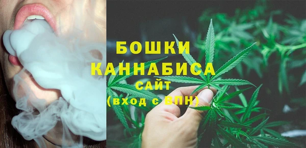 крисы Касимов