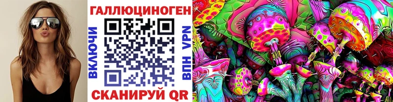 Псилоцибиновые грибы GOLDEN TEACHER  Купить где  Гдов 